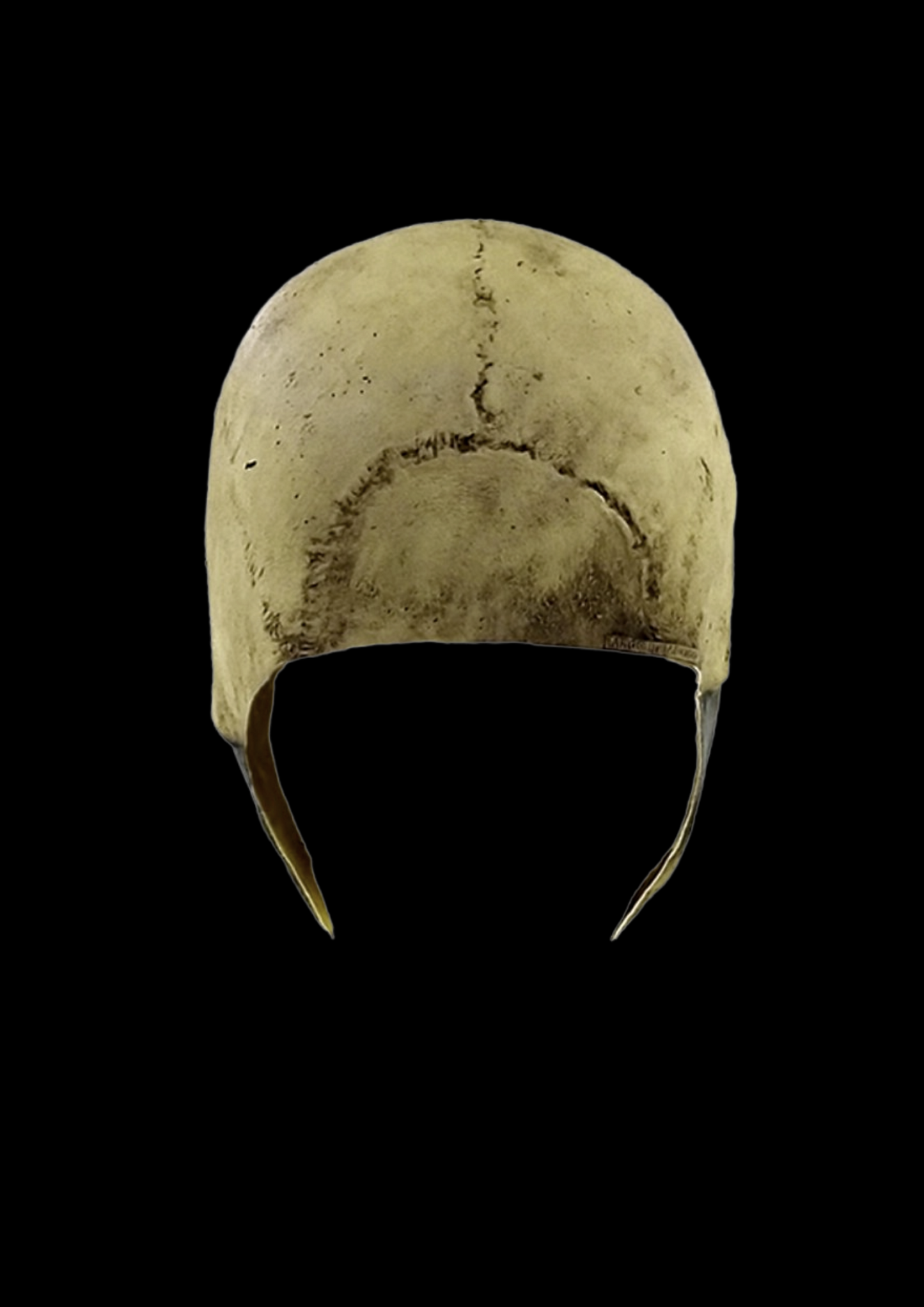 Bone Skull