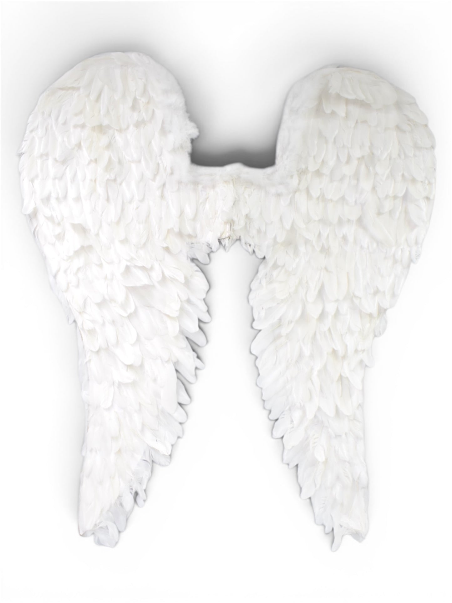 Alas de Ángel de Plumas Medianas