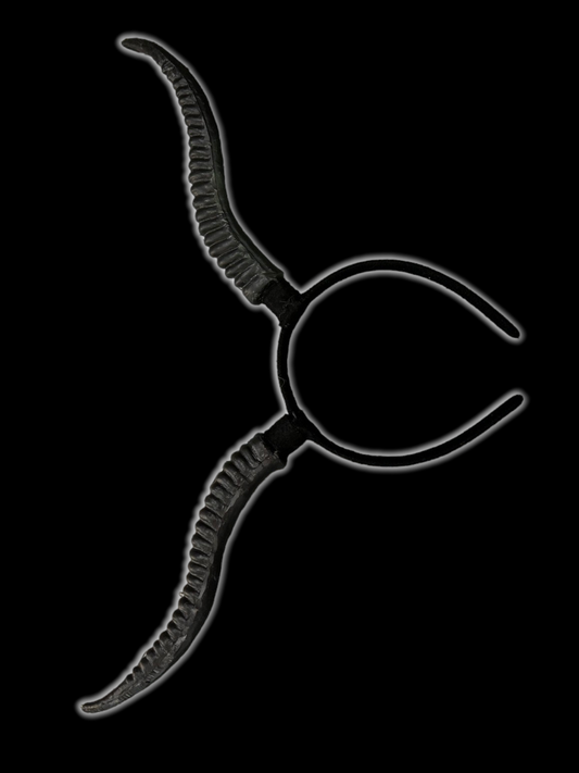 Cuernos largos