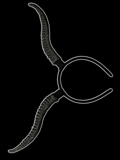 Cuernos largos