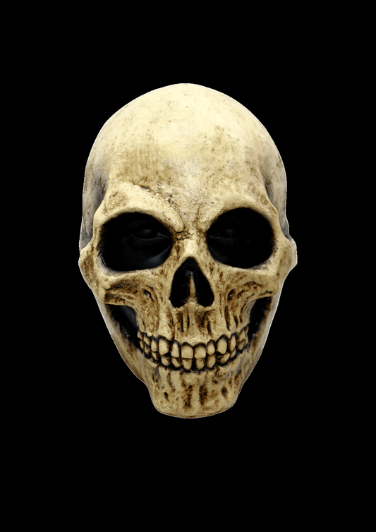 Bone Skull