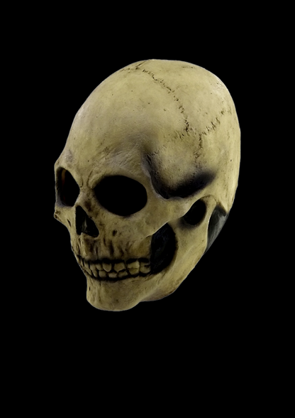 Bone Skull