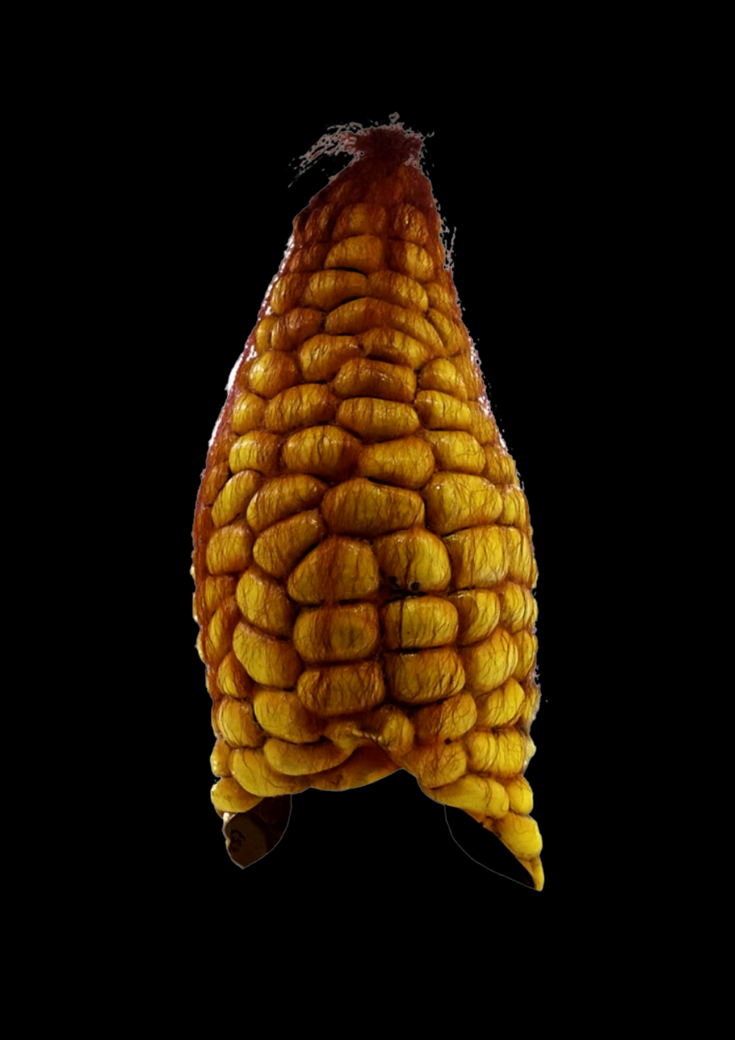 Evil Corn