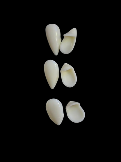 Colmillos ( kit 3 pares 13MM, 15MM y 17MM)