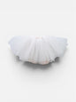 Tutus Grandes