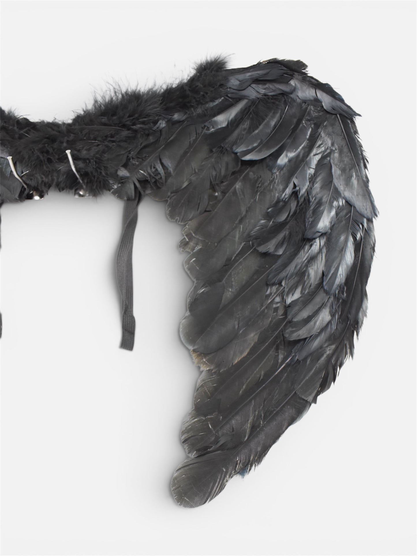 Alas de Plumas Negras Pequeñas