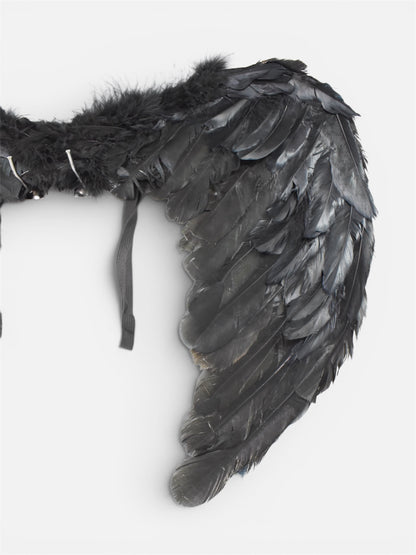 Alas de Plumas Negras Pequeñas