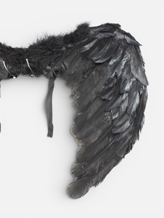 Alas de Plumas Negras Pequeñas