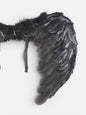 Alas de Plumas Negras Pequeñas