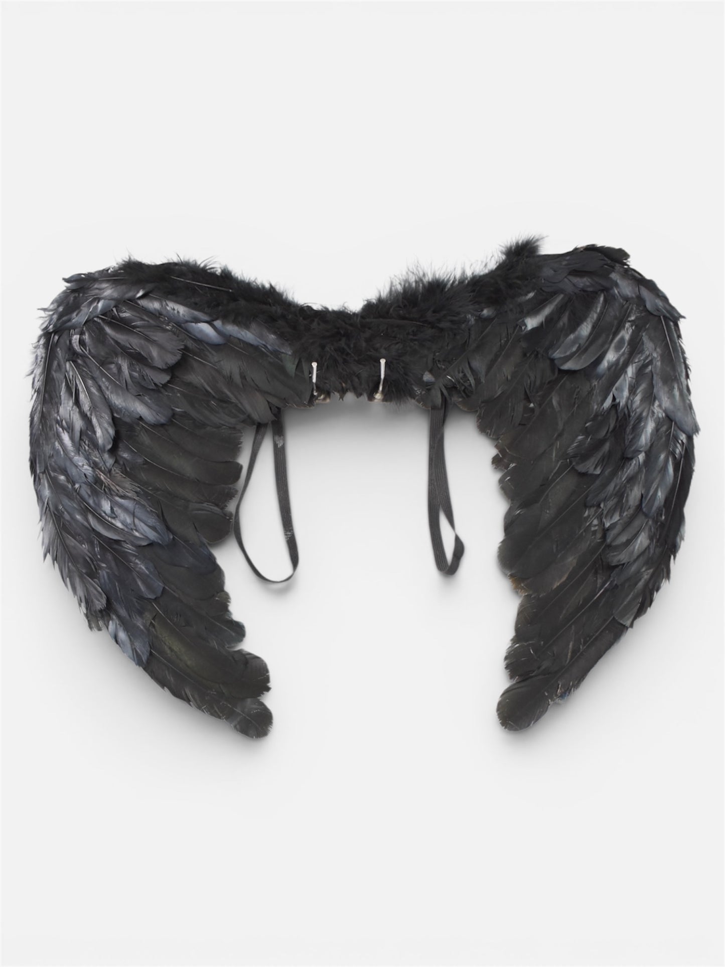 Alas de Plumas Negras Pequeñas