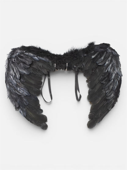 Alas de Plumas Negras Pequeñas