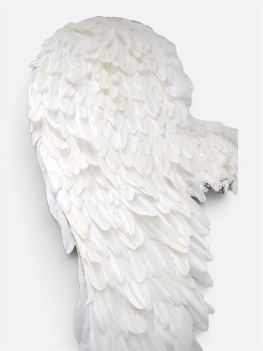 Alas de Ángel de Plumas Medianas