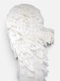 Alas de Ángel de Plumas Medianas