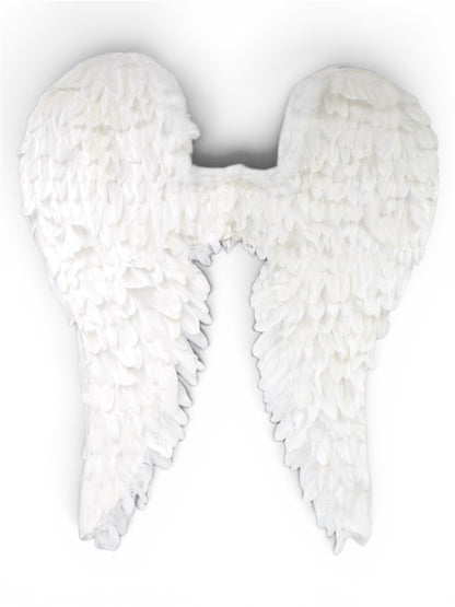 Alas de Ángel de Plumas Medianas