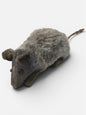 Ratón Pequeño