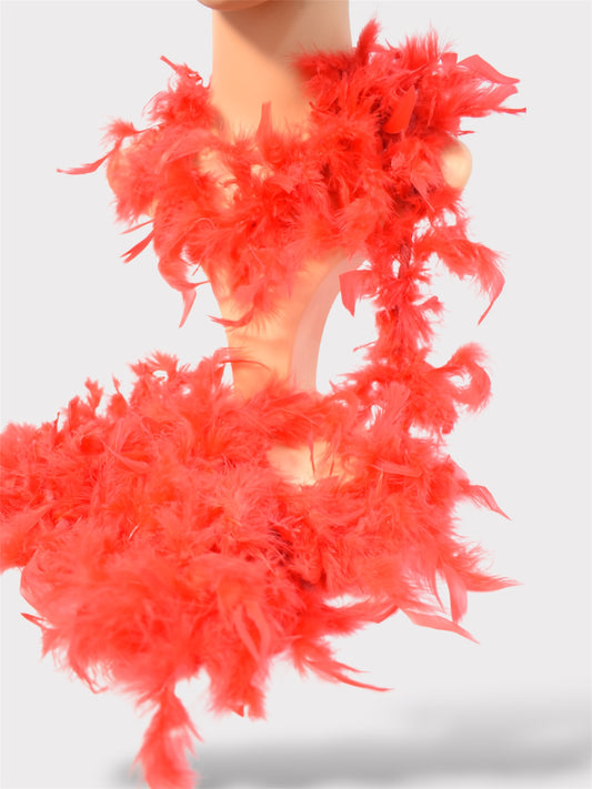 Boa De Plumas