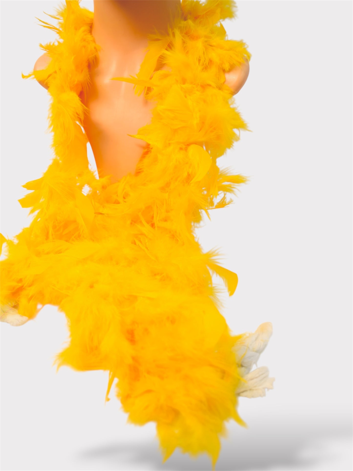 Boa De Plumas