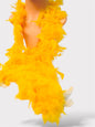 Boa De Plumas