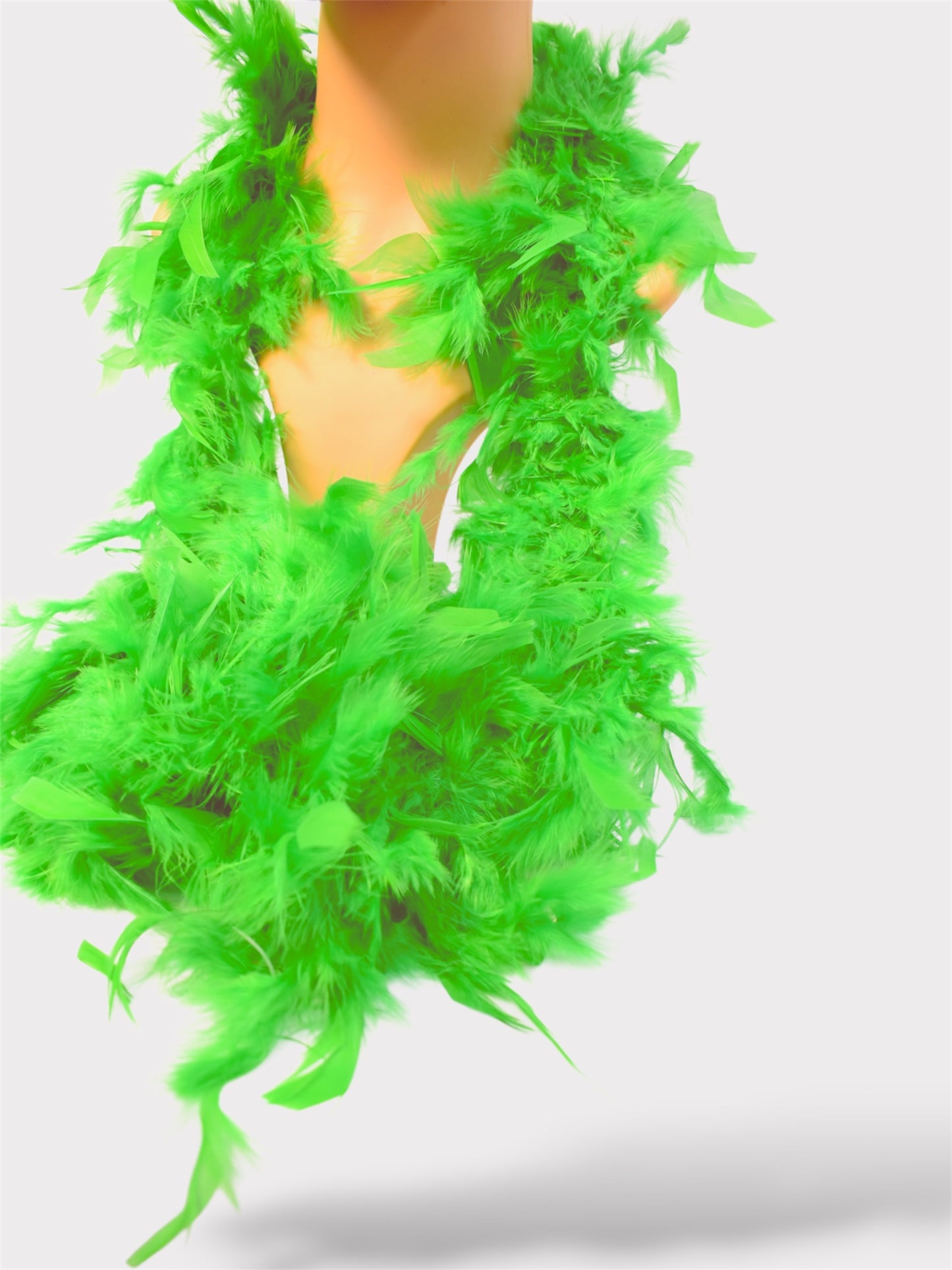 Boa De Plumas