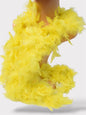 Boa De Plumas