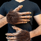 Wolf Hands Deluxe