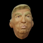 Trump Pout