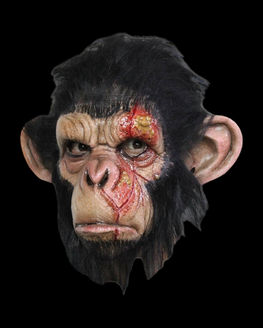 Infected Chimp