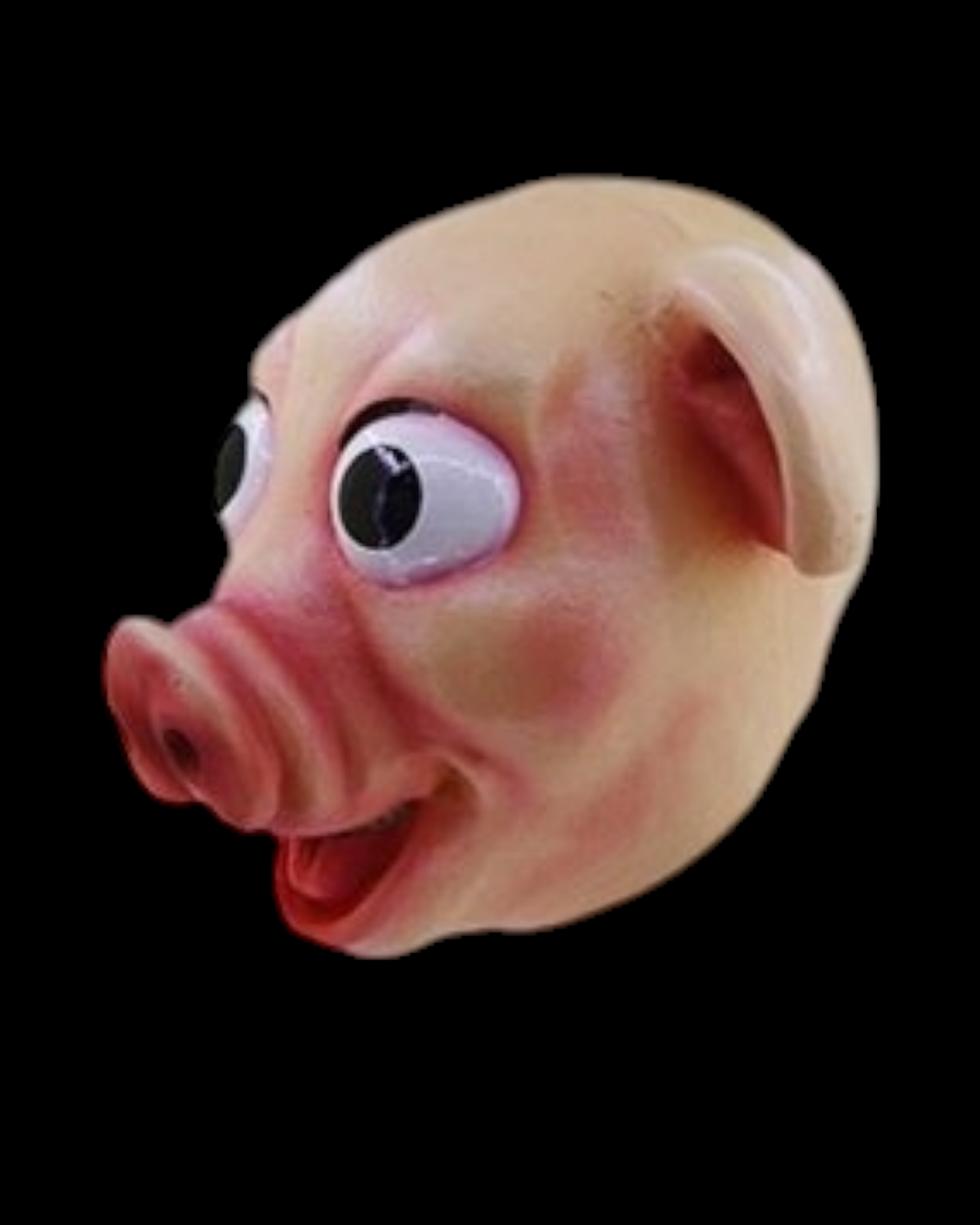 Pig