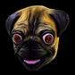 Pug