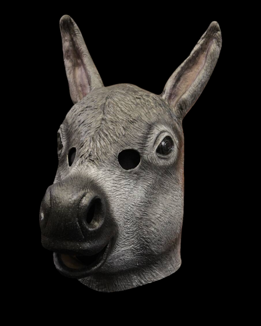 Donkey