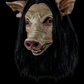 Pig with Hair