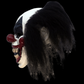 Darky the Clown