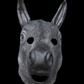 Donkey