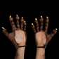 Wolf Hands Deluxe