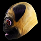 Pug