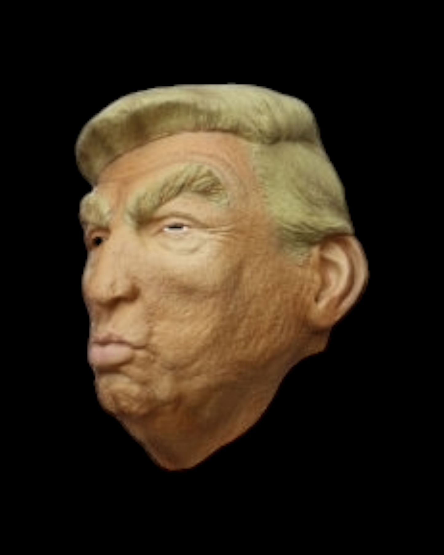 Trump Pout