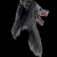 Black Wolf
