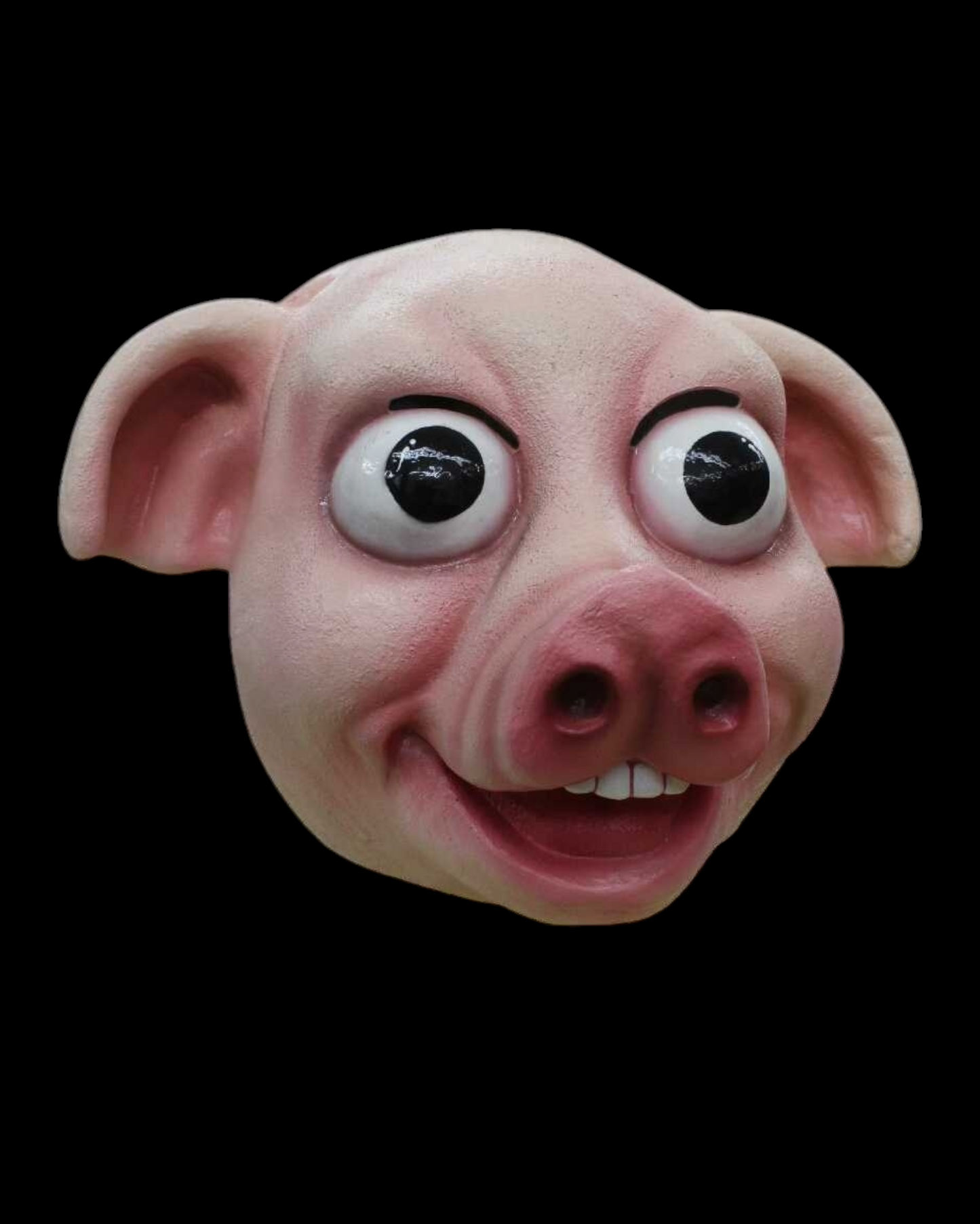 Pig