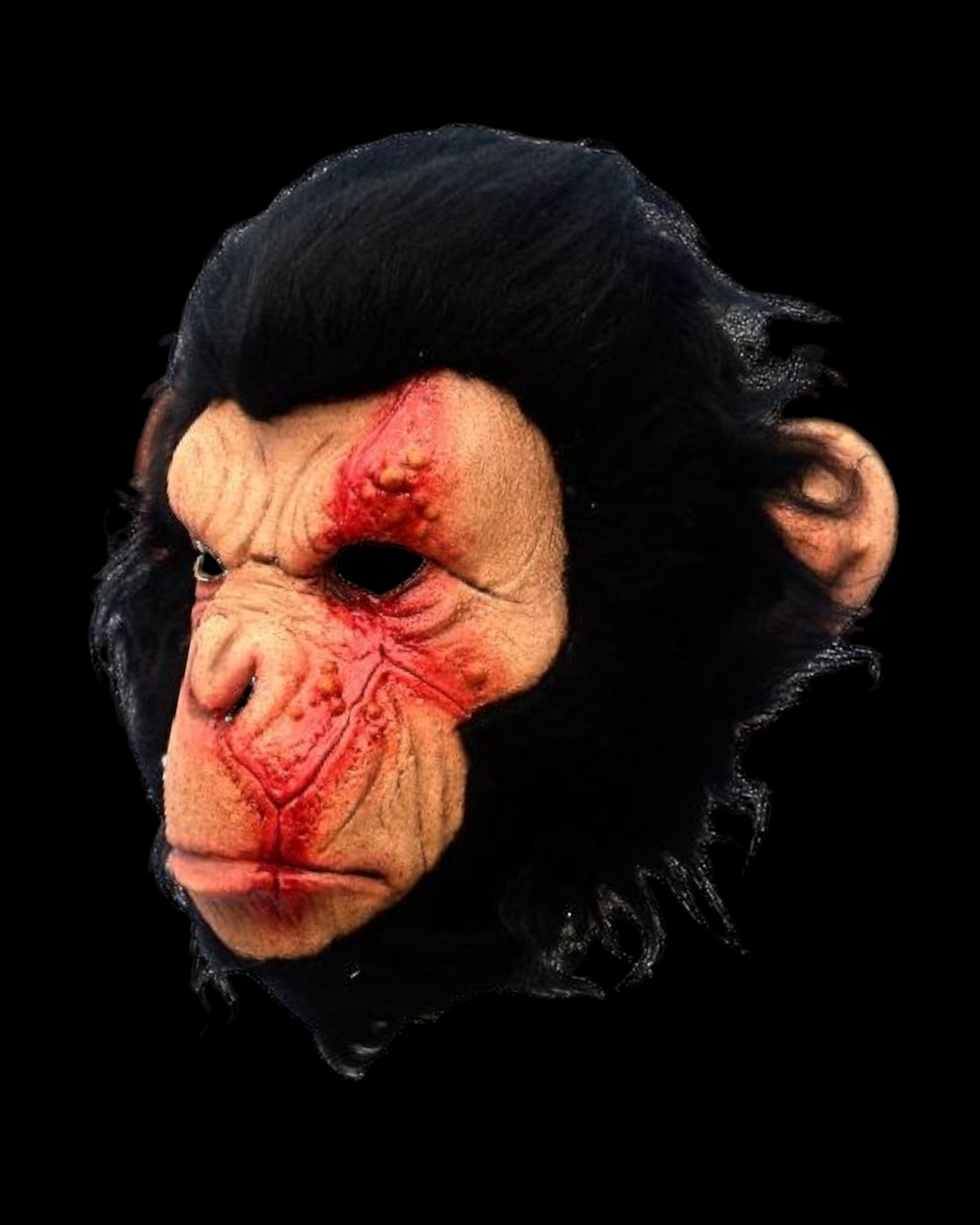 Infected Chimp