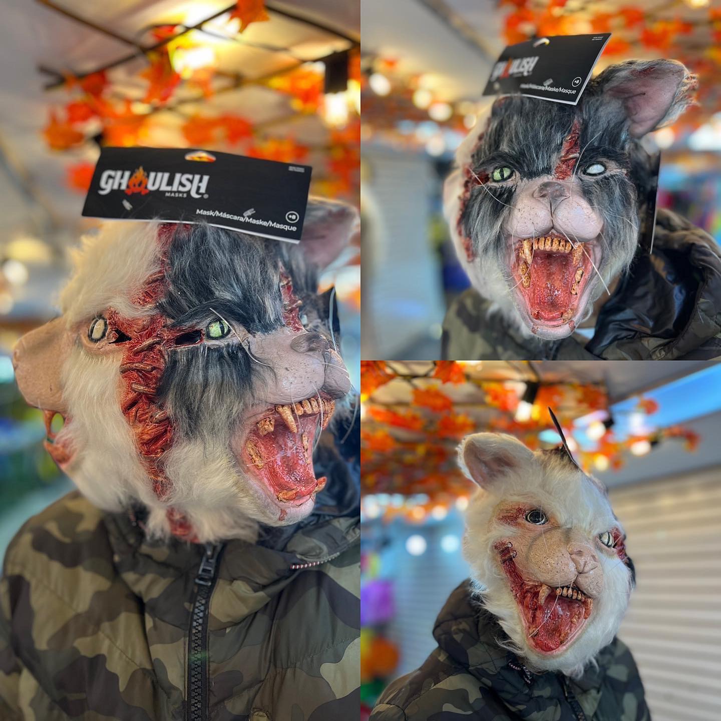 Gato Zombi Dos caras